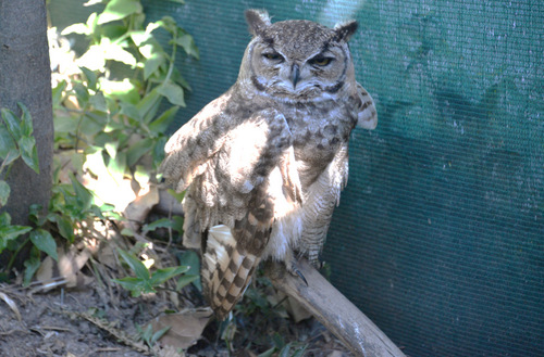 World of Birds Wildlife Sanctuary.